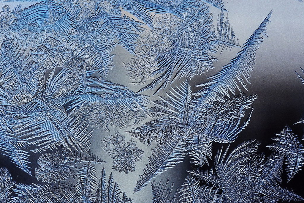 Frost_patterns